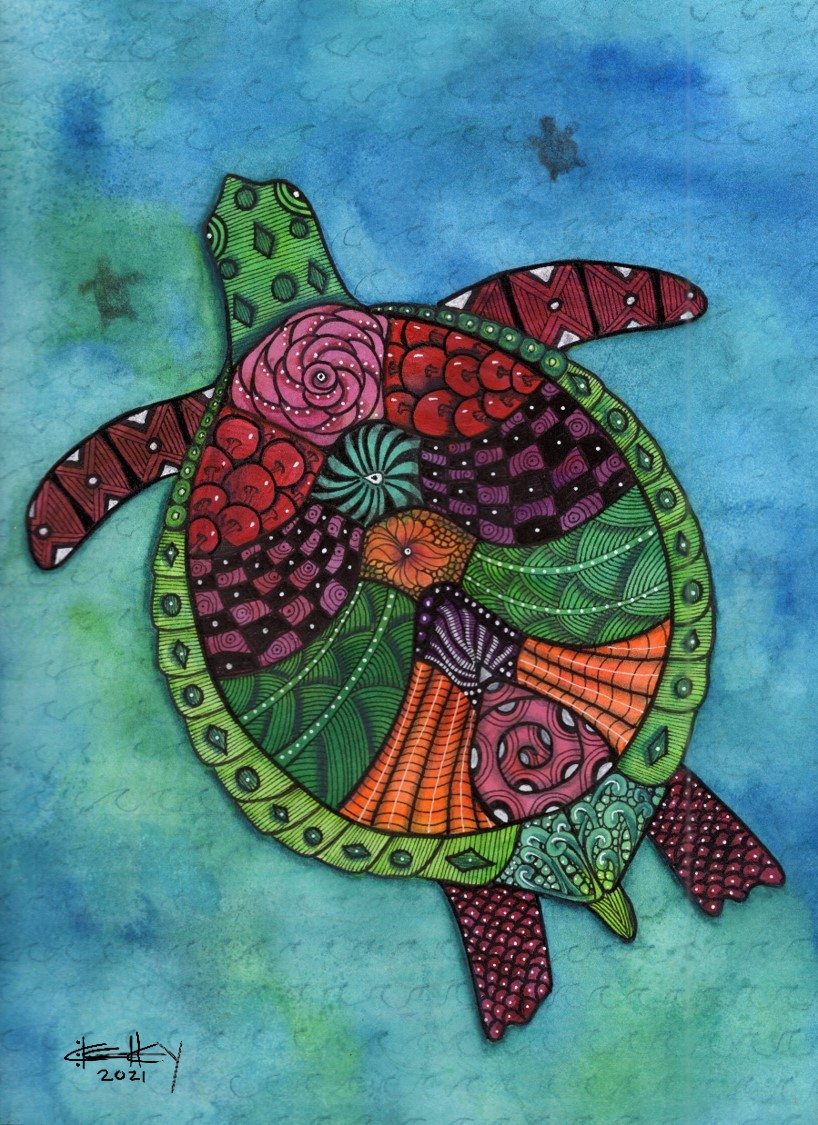 Turtle